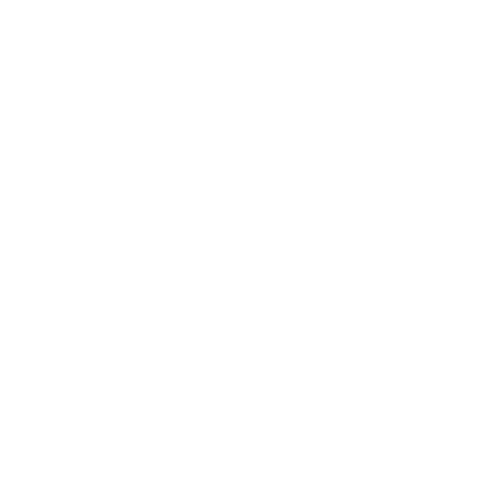 Logo Bernareggi